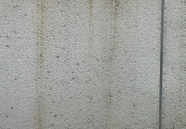 汚れがある